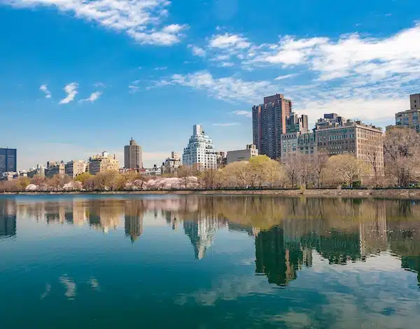 pexels-jerome-dominici-286076 A sight of the city you can see when moving from California to New Jersey