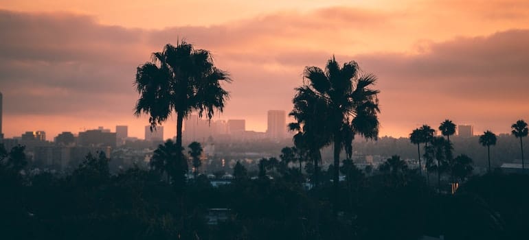 LA during the sunset